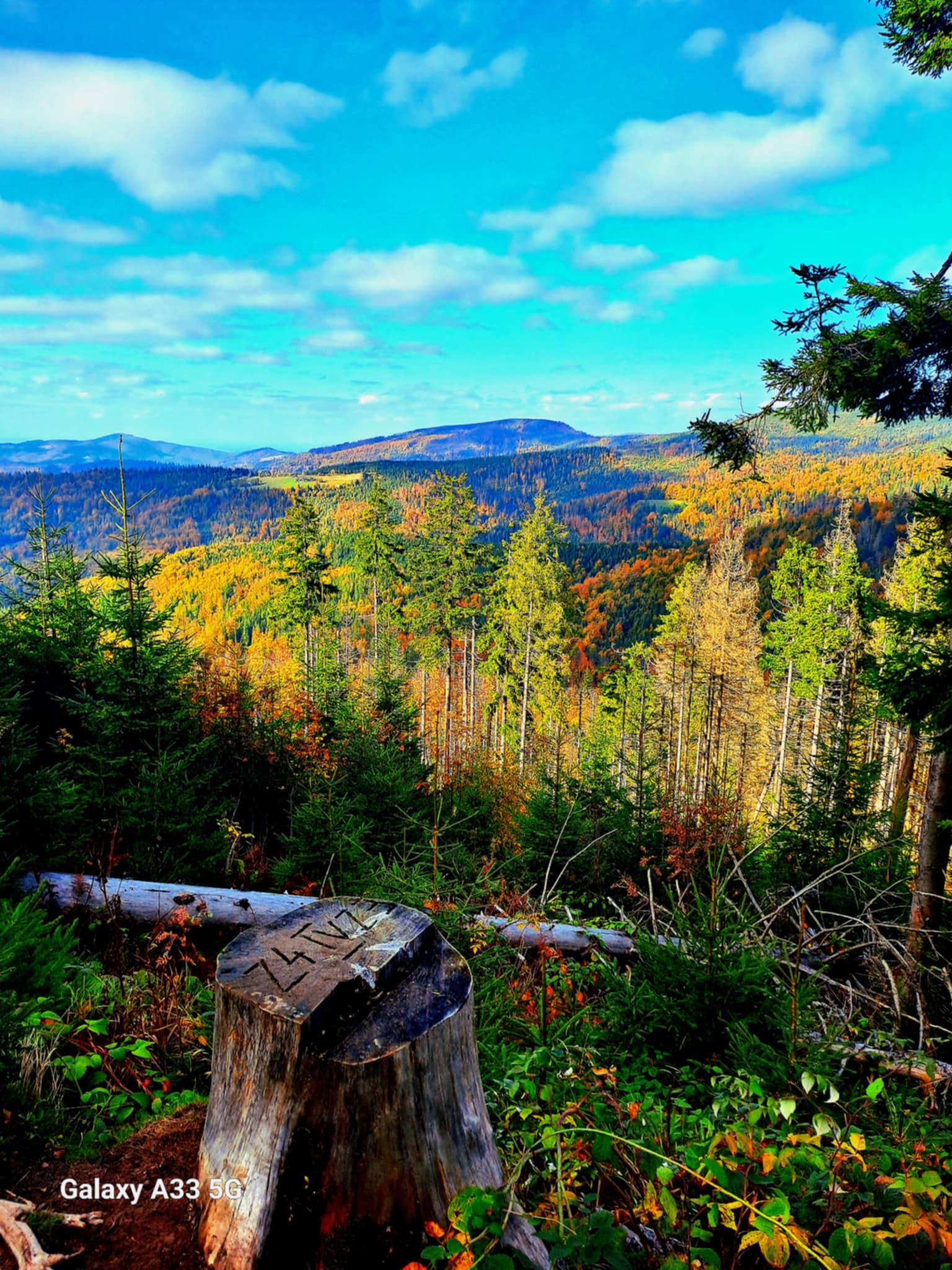 Wycieczka przez Beskid Śląski